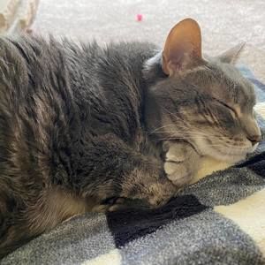 Meet your Posher, Lori